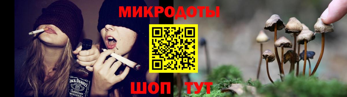Галлюциногенные грибы мухоморы  Вход с VPN  Шадринск 